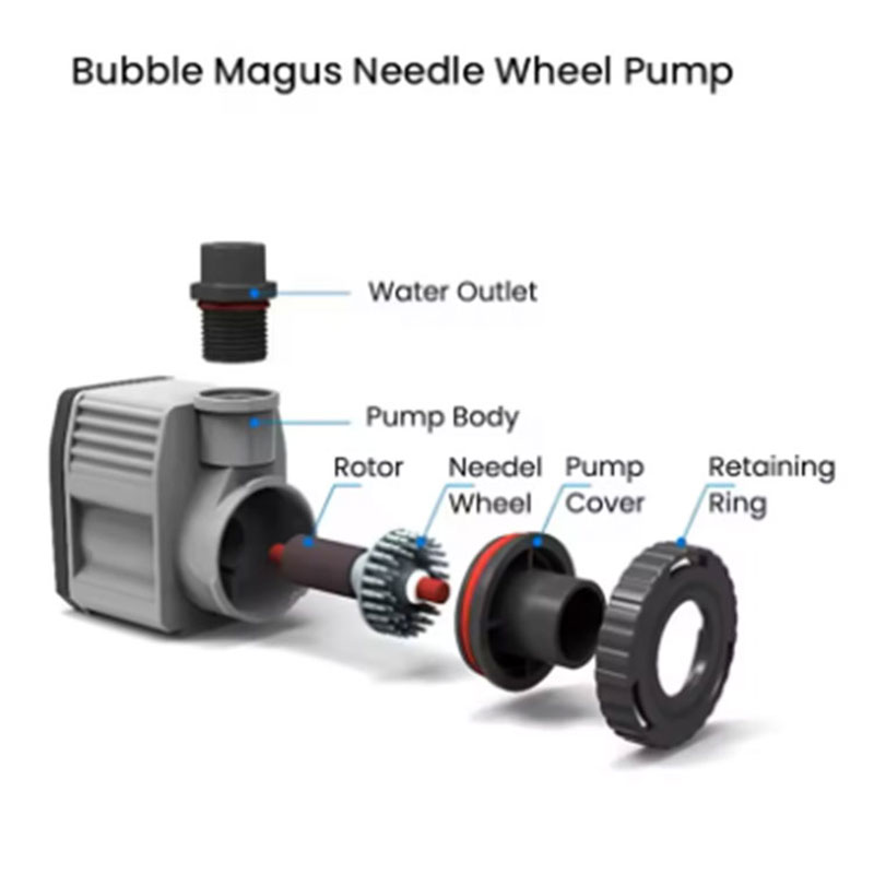Bubble Magus BM QQ2 Interne Ei - Marine Aquarium Nano recensie en prijs