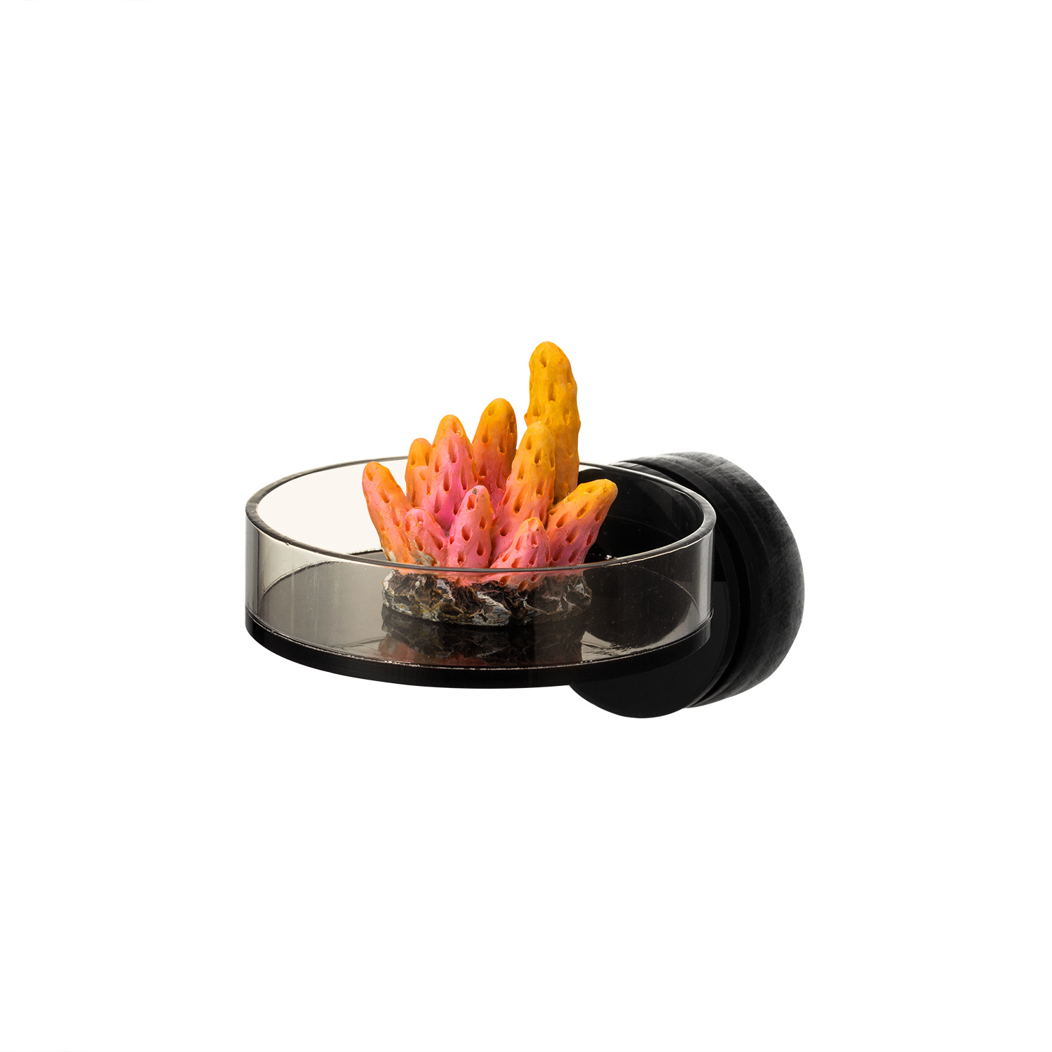 Marine Sources 70 mm zwart mag - Aquarium Marine recensie en prijs