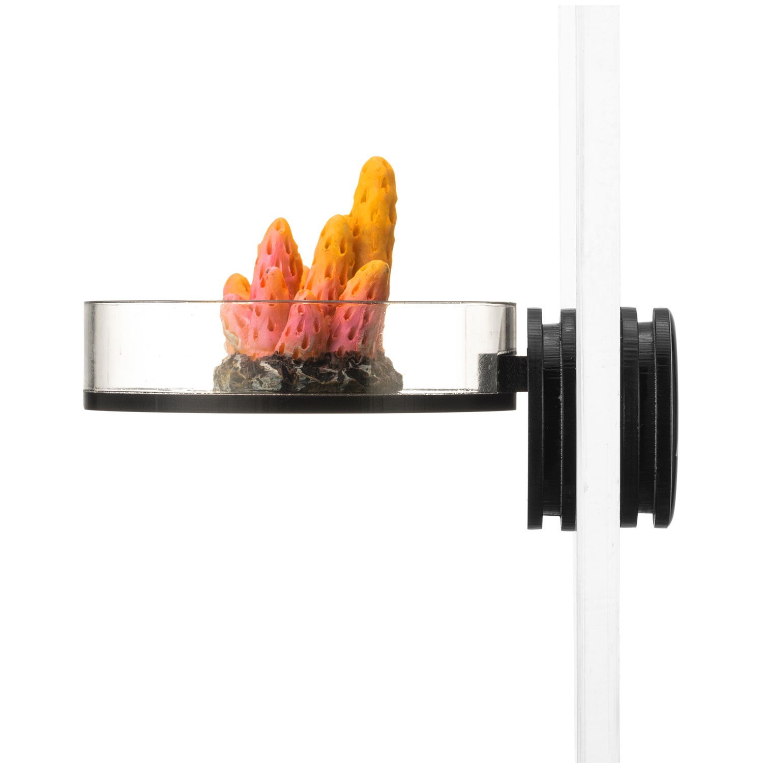 Marine Sources 70 mm zwart mag - Aquarium Marine recensie en prijs